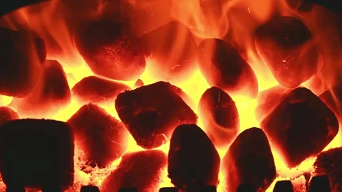 Close up of Coals Burning in Fire 動画素材 131728585