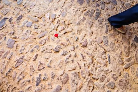 Close-Up of Cobblestone Floor with Red Petal and Shoe 写真素材