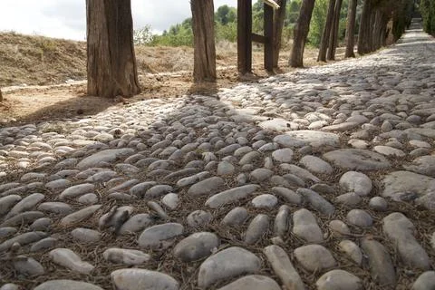 Close-up of cobblestone path with shadows Stock Photos