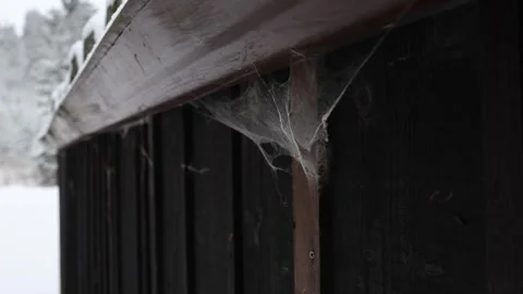 Close-up of cobwebs stretched across the corner of a wooden structure in a snowy Stock Footage 298261500