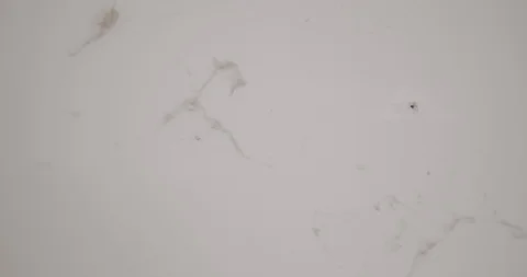 Close up of cobwebs on a wall Stock Footage 122181098