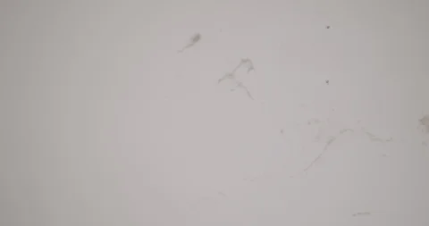 Close up of cobwebs on a wall Stock Footage 122181108