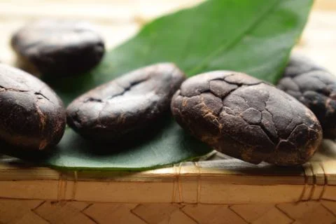 Close up on cocoa beans Stock Photos