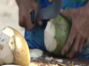 Close up of Coconut being Chopped Stock Footage 85567627
