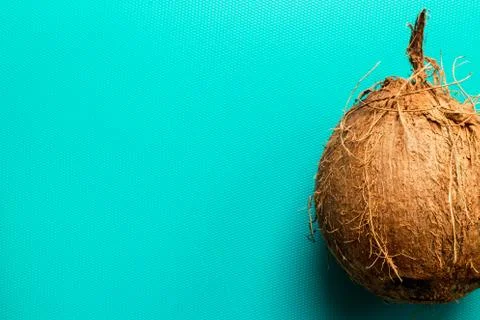 Close up of coconut on a blue background in a studio  Stock Photos