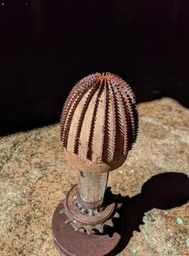 Close-up coconut shaving machine in soft-focus in the background. Stock Photos
