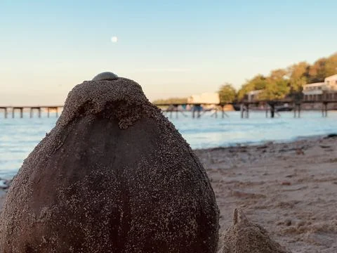 Close-Up Coconut Shell on Sandy Beach at Tanjung Lesung Beach Stock Photos