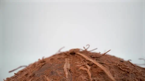 Close up of coconut shell on white background isolated 스톡 동영상 328962932