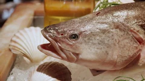 Close-up Cod Fish Over Crashed Ice Display In Restaurant. 스톡 동영상 302364768