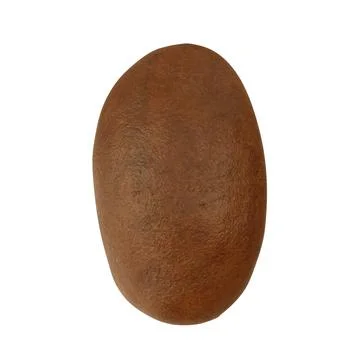 Close-Up Of Coffee Bean Over White Background Stock Illustration