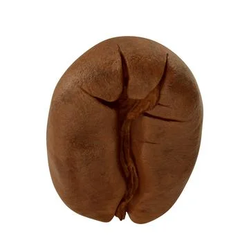 Close-Up Of Coffee Bean Over White Background. 3D illustration Stock Illustration