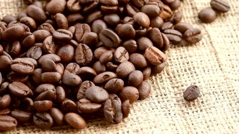 Close up coffee bean panning smooth Video stock 89679890