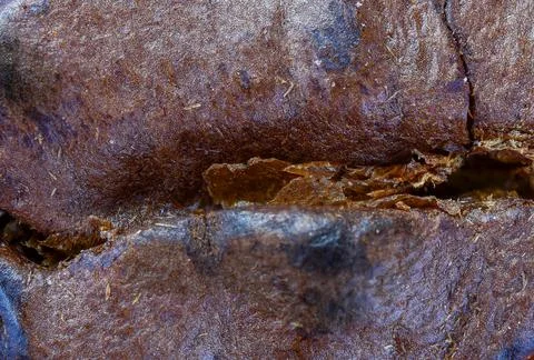 Close up of a coffee bean Stock Photos