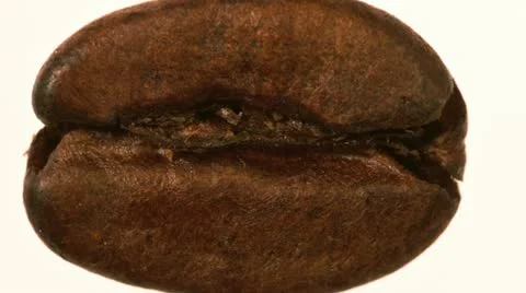 Close up of coffee beans against a white background Stock Footage 21316563