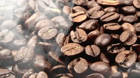 Close-up of coffee beans. Beautiful coffee seeds in the smoke tubers. 動画素材 159678139