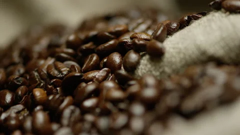 Close-up coffee beans dark roast coffee Stock Footage 142071021
