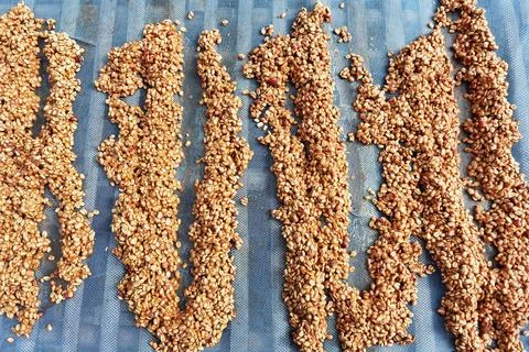 Close up of coffee beans drying Stock Photos