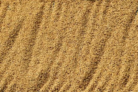 Close up of coffee beans drying Stock Photos