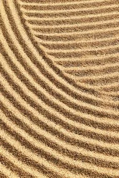 Close up of coffee beans drying Stock Photos
