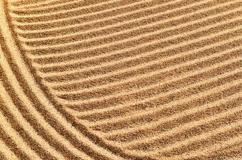 Close up of coffee beans drying Stock Photos