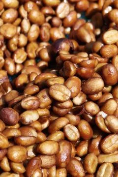 Close up of coffee beans drying Stock Photos