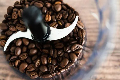 Close-up of coffee beans food processor about to get grinded, simple ingredie Stock Photos