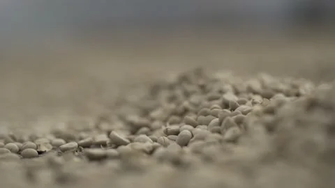 Close up on coffee beans Stock-Footage 131523511