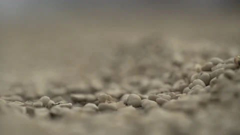 Close up on coffee beans Stock-Footage 131523521