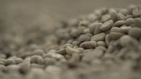 Close up on coffee beans Stock-Footage 131523616
