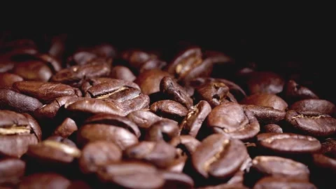 Close-up of coffee beans Stock Footage 257289917
