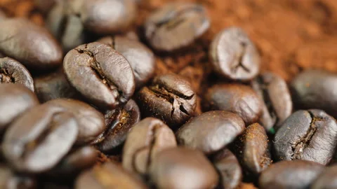 Close-up of coffee beans, ground coffee beans background Stock Footage 221786612