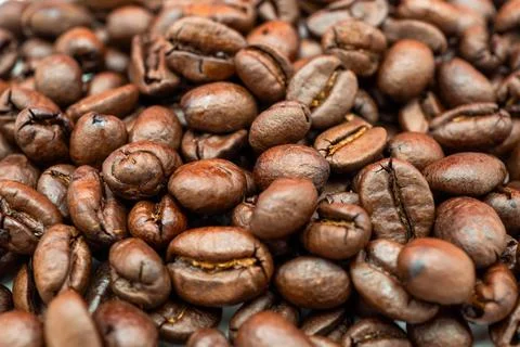 A close up of coffee beans with the idea of a coffee bean farm Stock Photos