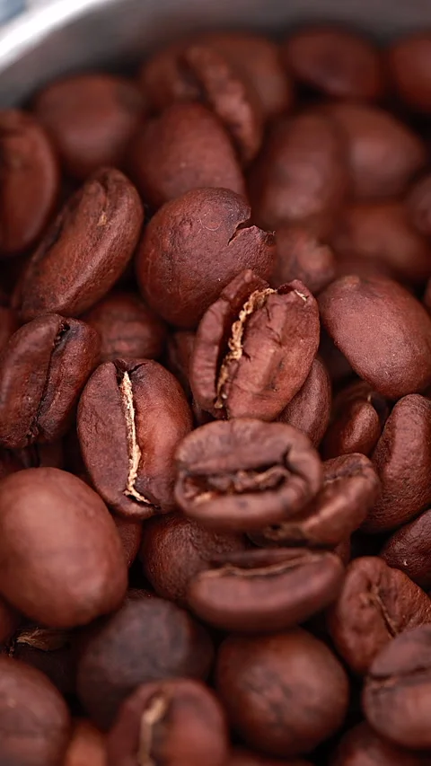 Close-Up Of Coffee Beans In A Metal Grinder. Vertical. Stock Footage 294896433