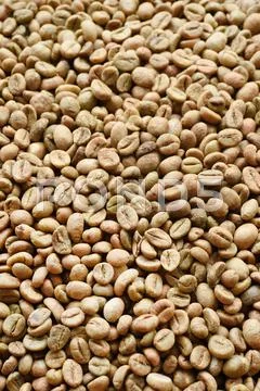 Close up of coffee beans Stock Photos