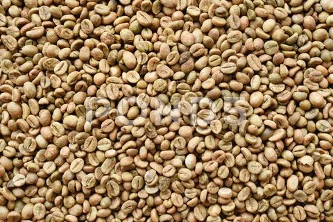 Close up of coffee beans Stock Photos
