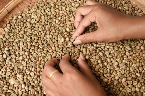 Close up of coffee beans Stock Photos