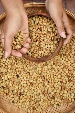 Close up of coffee beans 스톡 사진