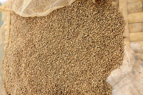 Close up of coffee beans Stock Photos