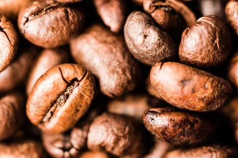 Close-up of coffee beans Stock Photos