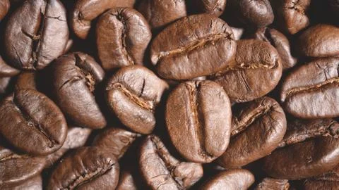 Close up of coffee beans Stock Photos