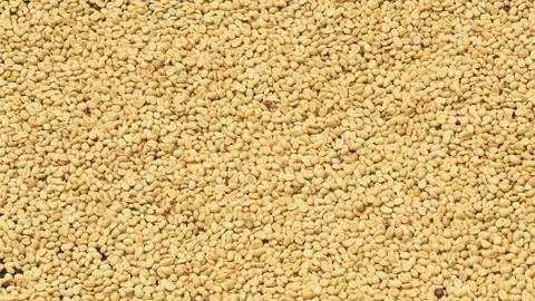 Close up of coffee beans Stock Photos