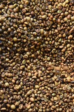Close up of coffee beans Stock Photos