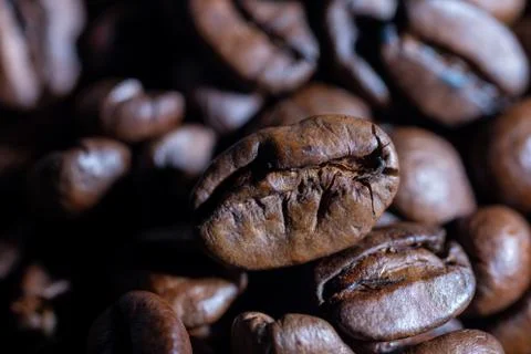Close-up of coffee beans Stock Photos