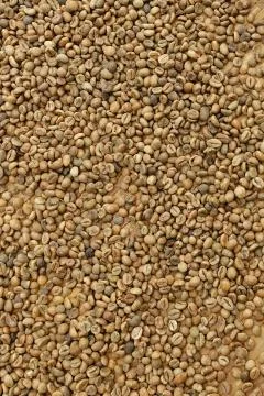 Close up of coffee beans Stock Photos