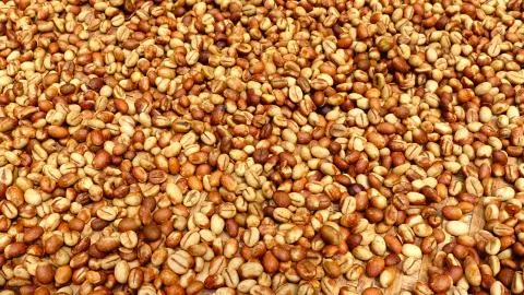 Close up of coffee beans Stock Photos