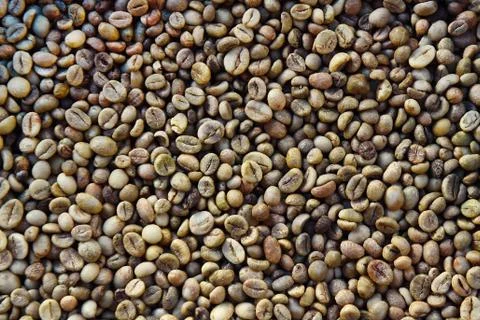Close up of coffee beans Foto stock
