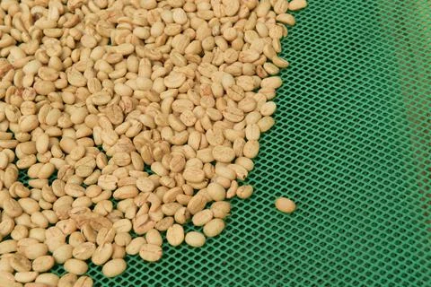 Close up of coffee beans Stock Photos