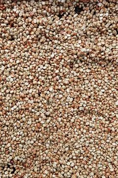 Close up of coffee beans Stock Photos