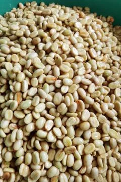 Close up of coffee beans Stock Photos