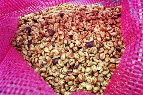 Close up of coffee beans Stock Photos